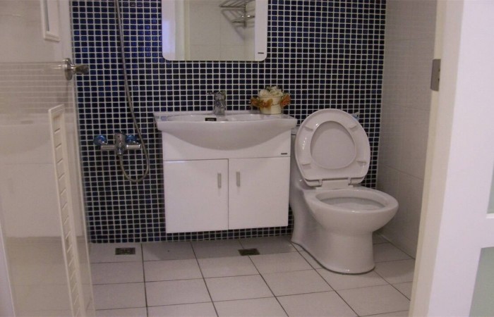 衛浴更新完工 (3)